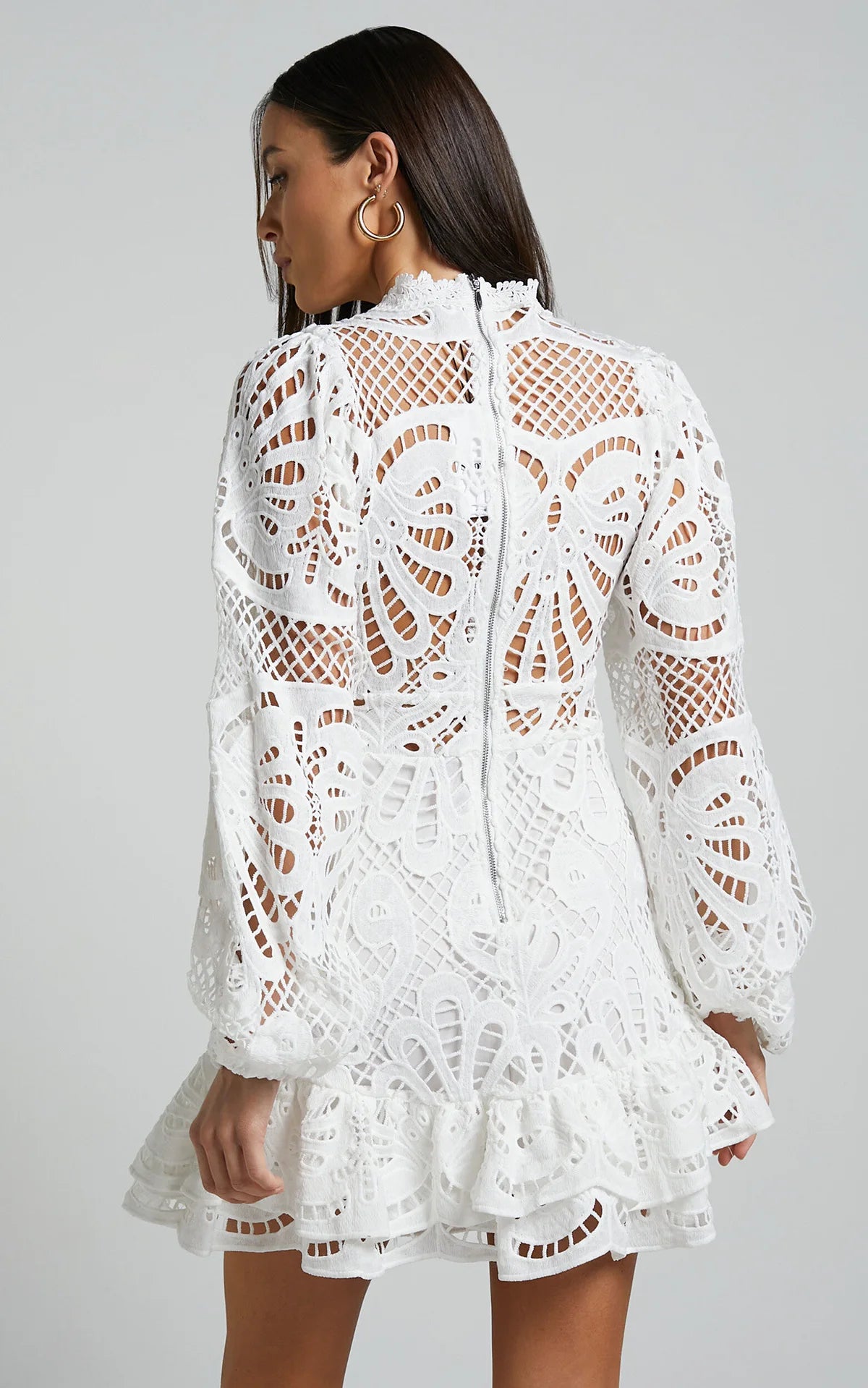 Lace Lantern Sleeves Dress