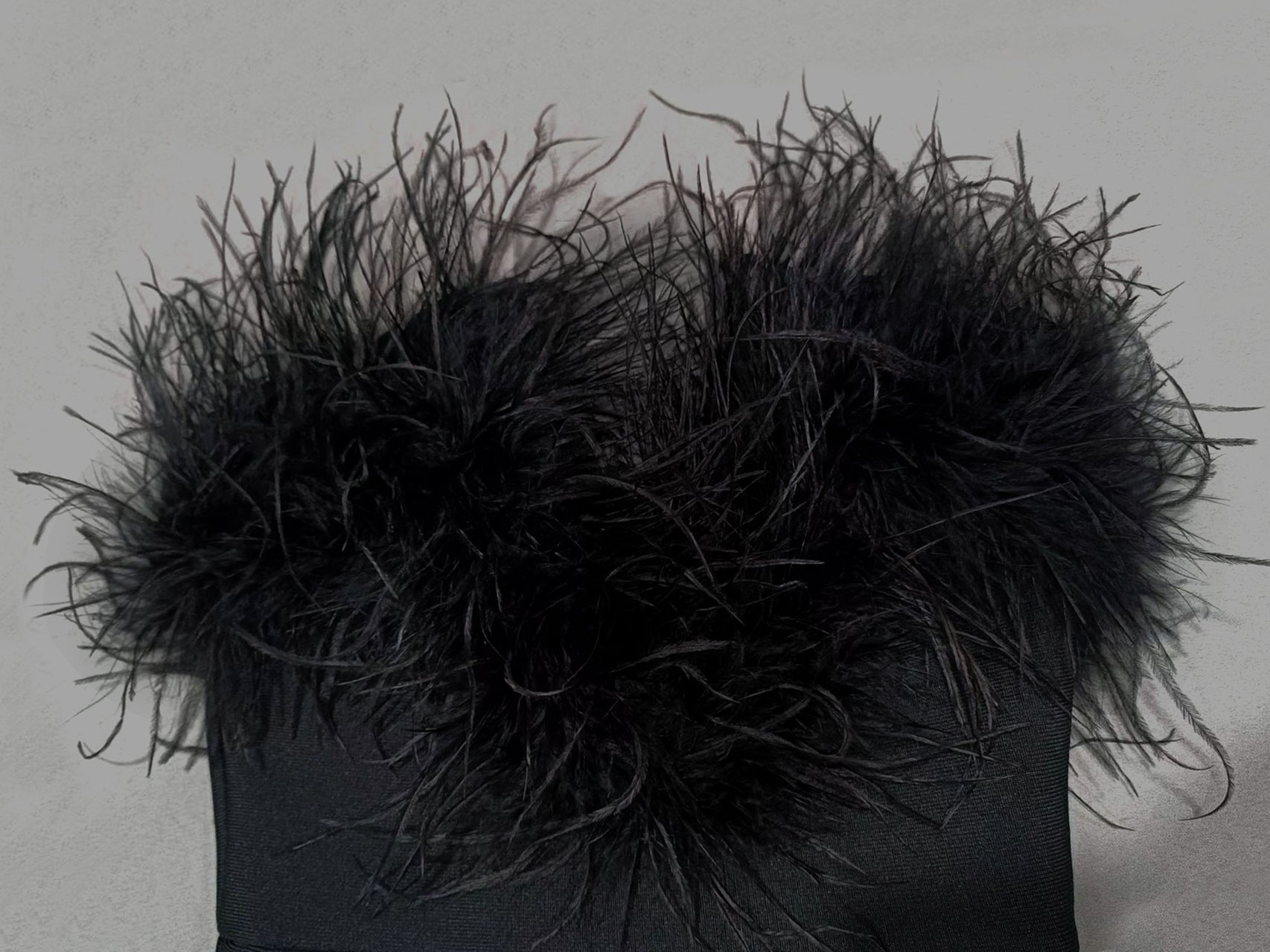 Feather French High-end Elegant Party - Shellss