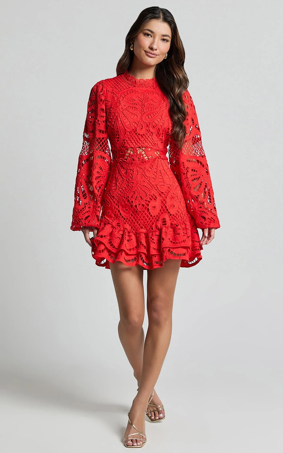 Lace Lantern Sleeves Dress
