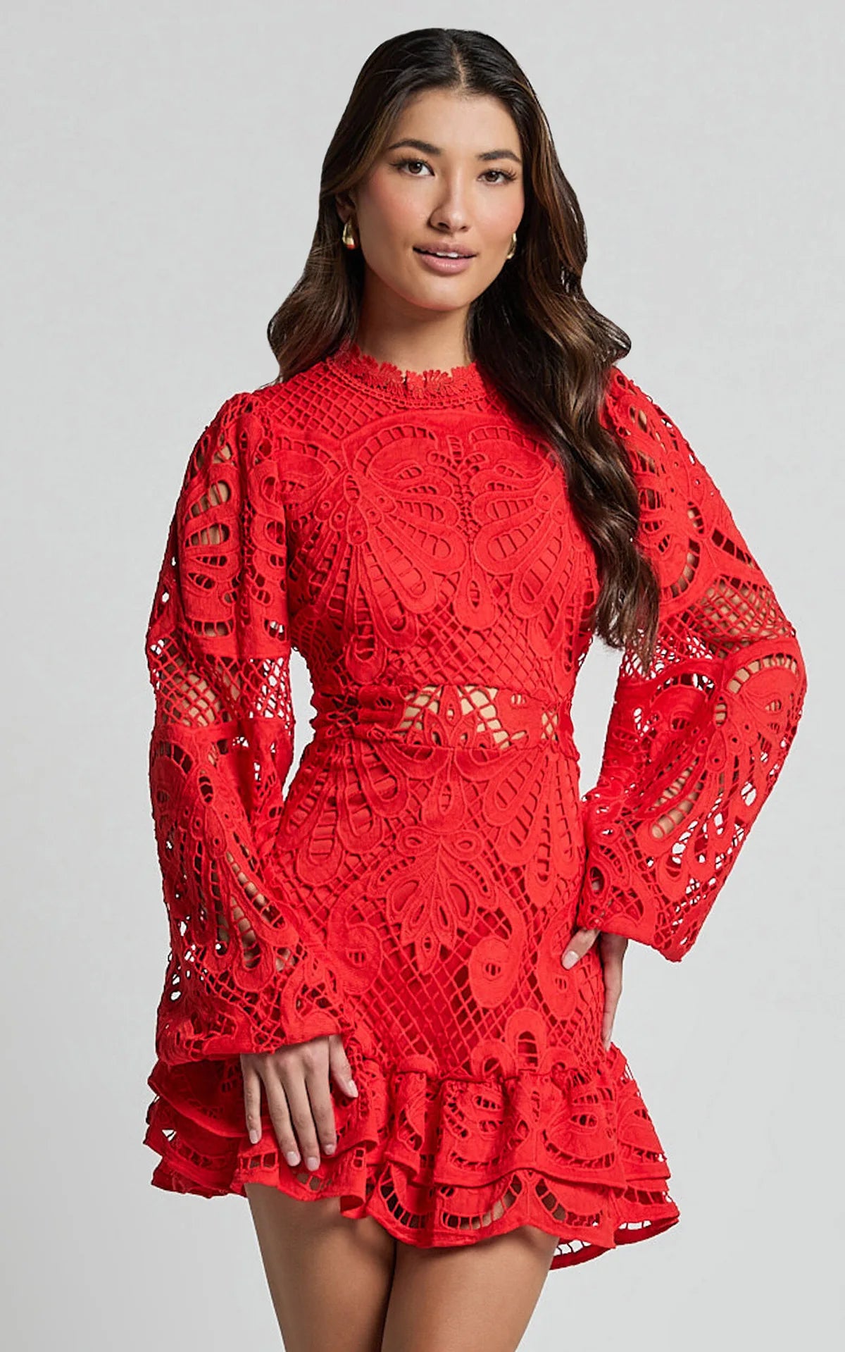 Lace Lantern Sleeves Dress