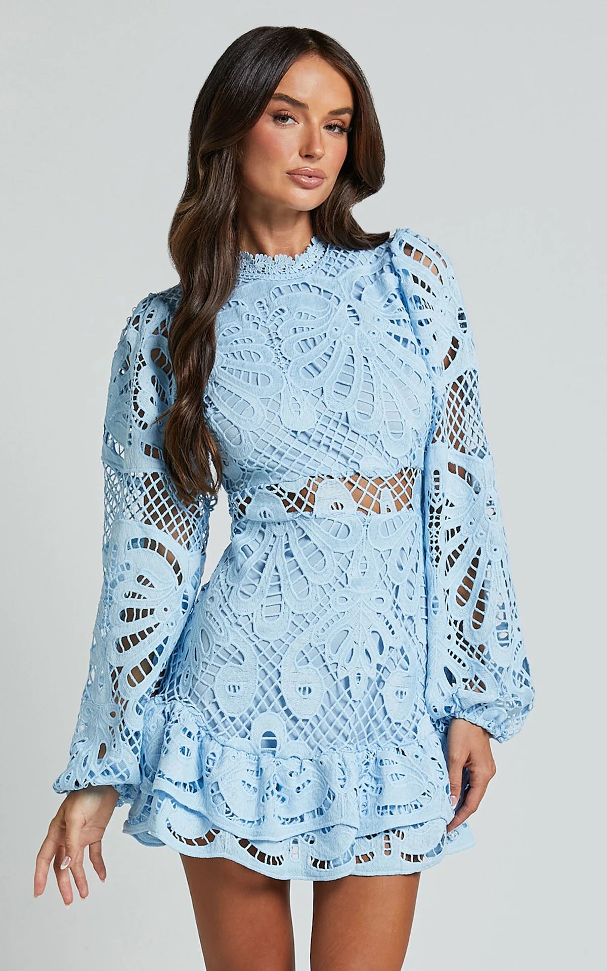 Lace Lantern Sleeves Dress
