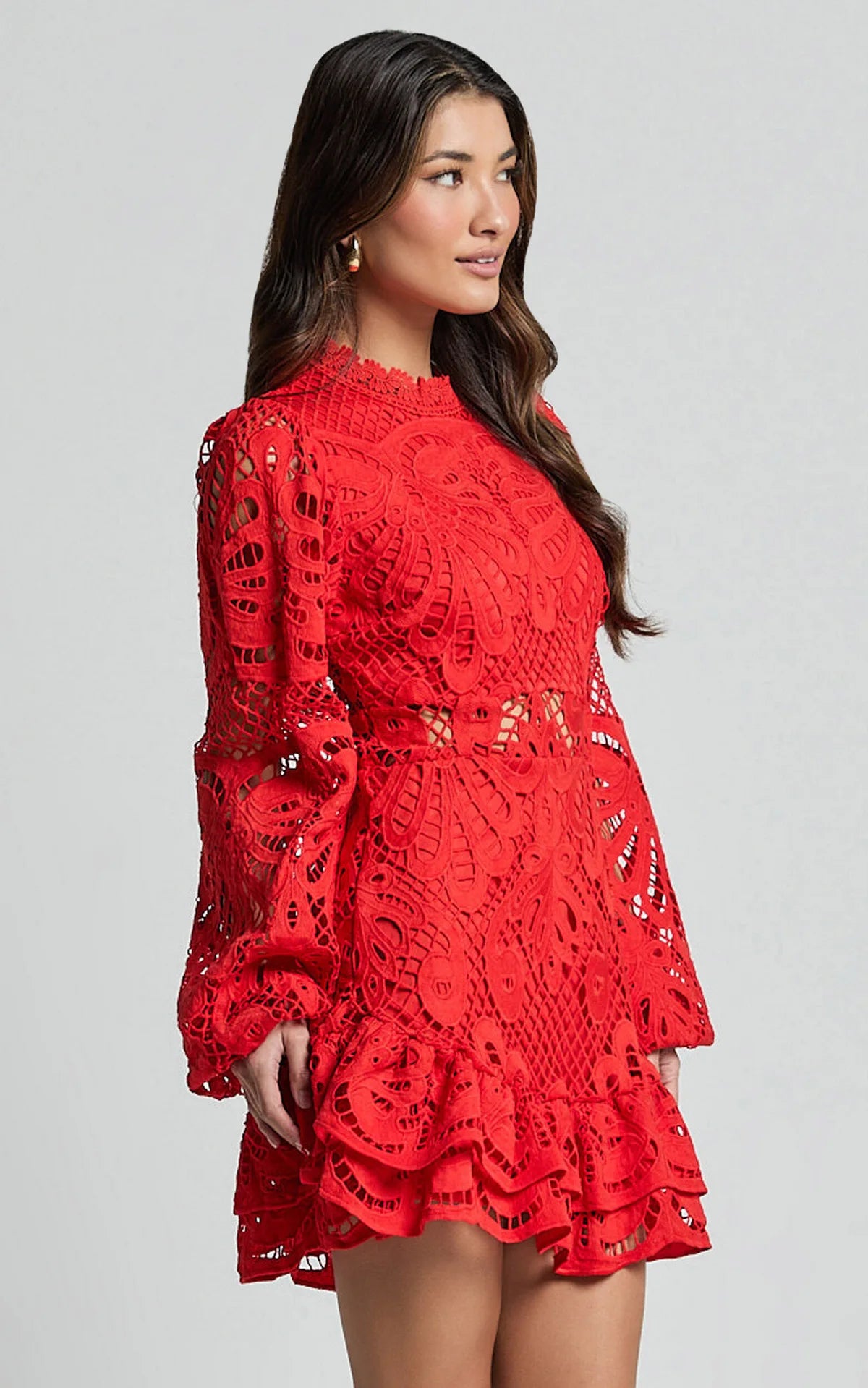 Lace Lantern Sleeves Dress
