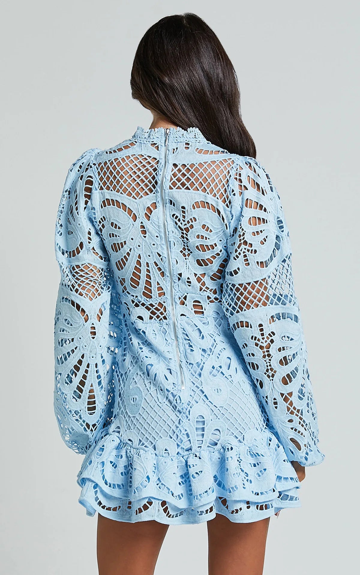 Lace Lantern Sleeves Dress