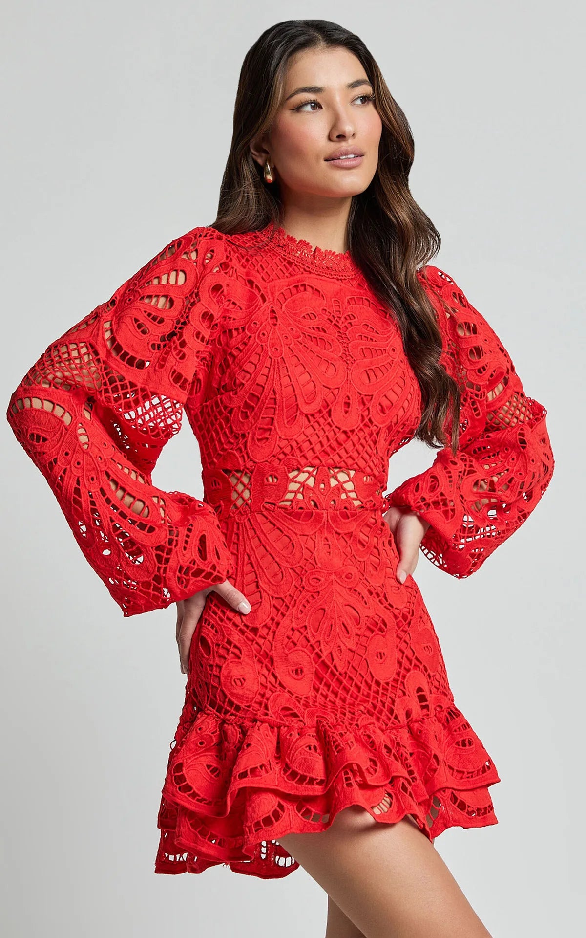 Lace Lantern Sleeves Dress