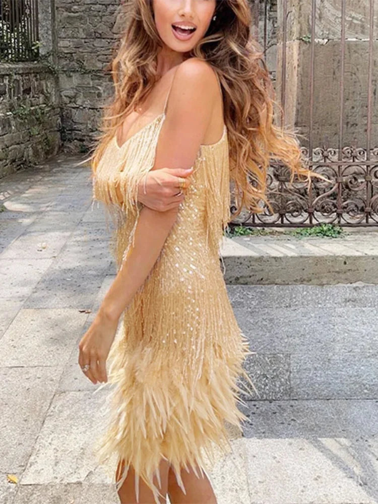 Fringe & Feathers Sparkly Dress - Shellss