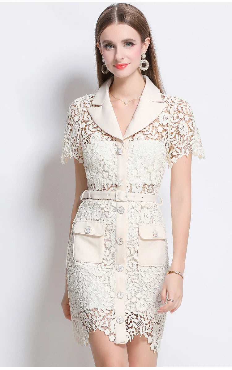 Elegant Hollow Out Mini Lace Dress