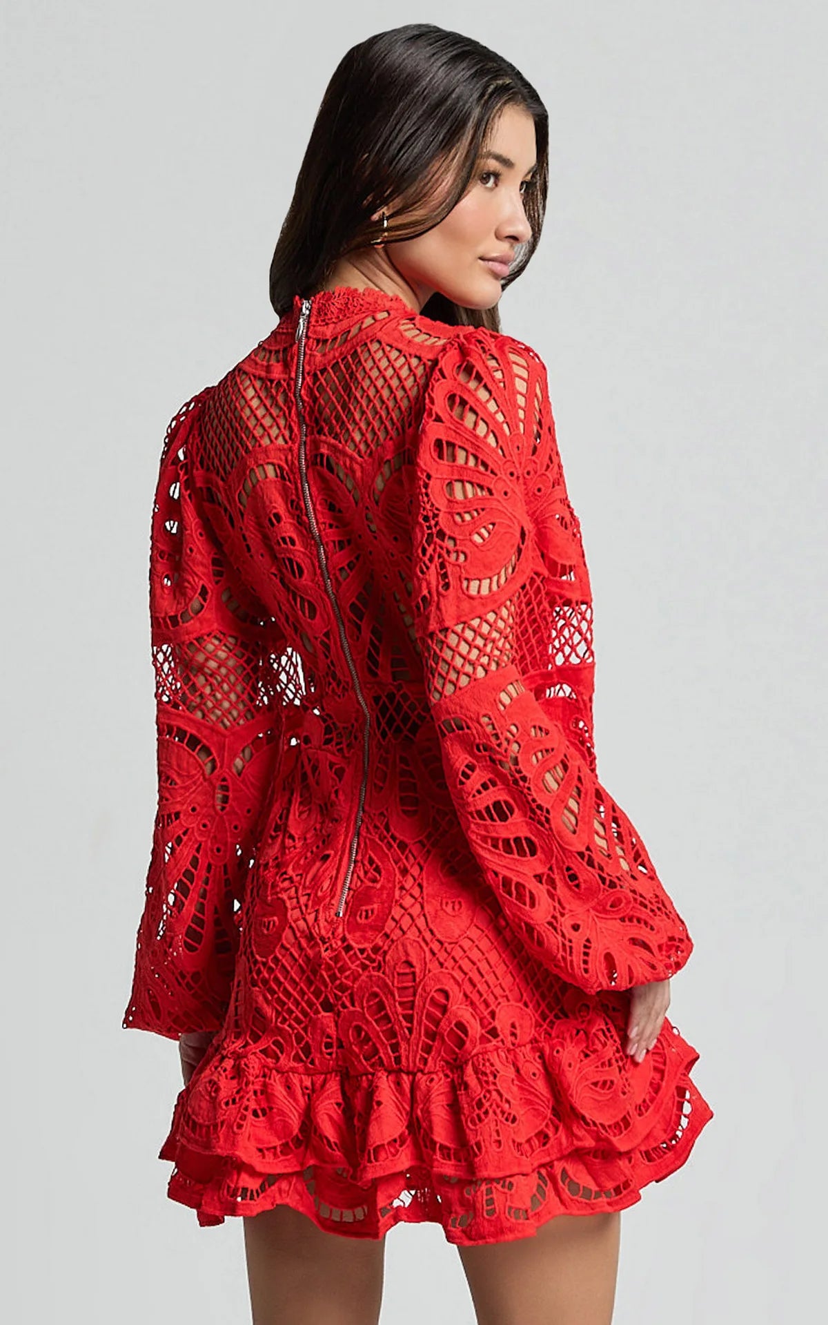 Lace Lantern Sleeves Dress