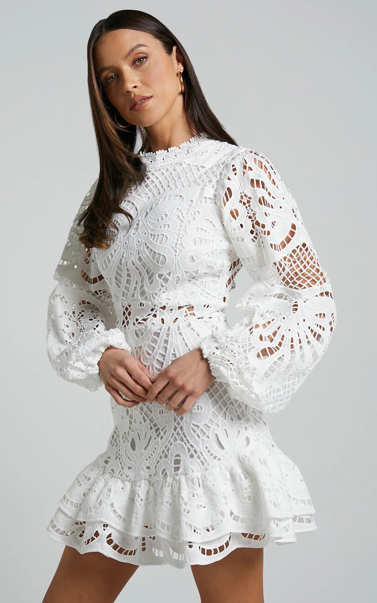 Lace Lantern Sleeves Dress