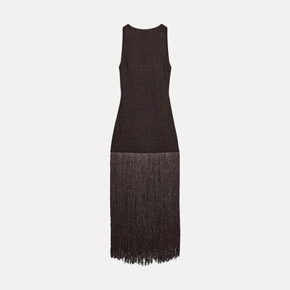 Zara vibes Tassel Dress