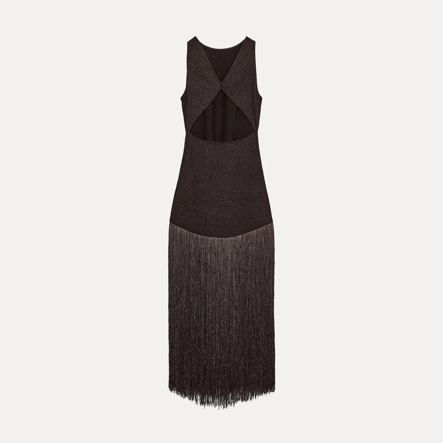 Zara vibes Tassel Dress