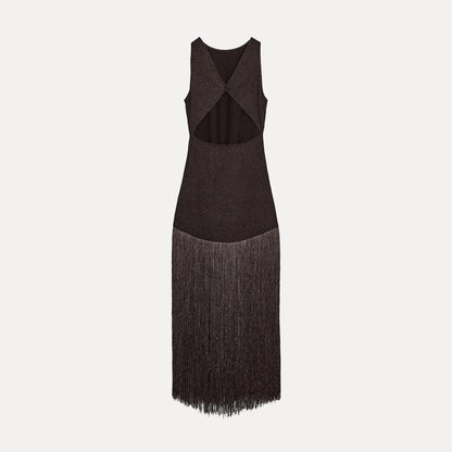 Zara vibes Tassel Dress