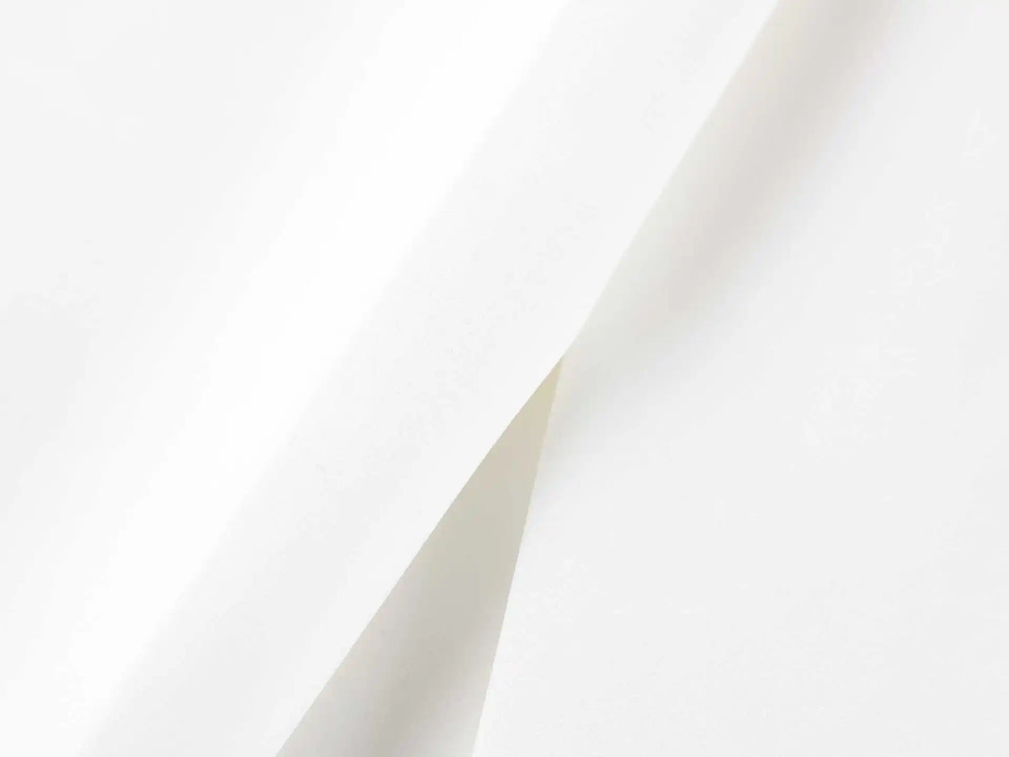 White Black Net Halter Backless