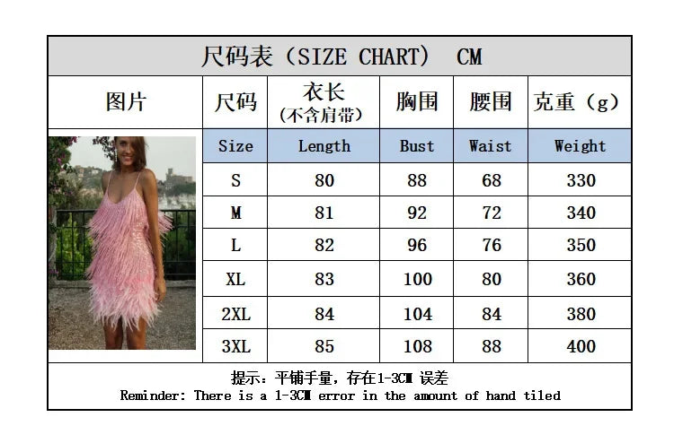 Fringe & Feathers Sparkly Dress - Shellss