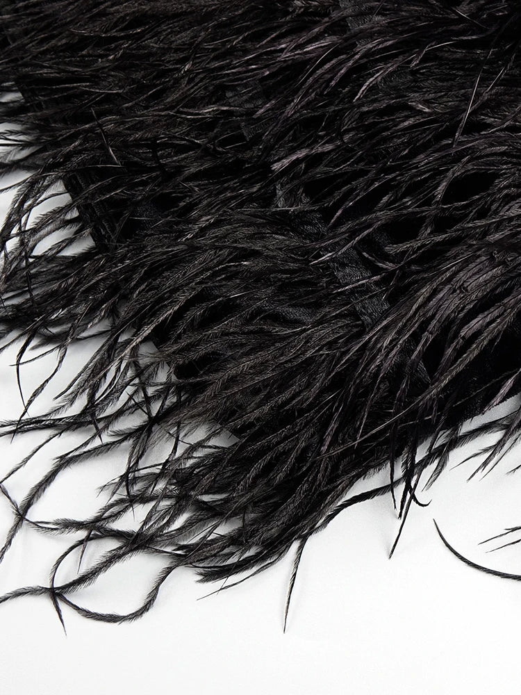 Velvet Mini Feather Dress Premium Collection Party