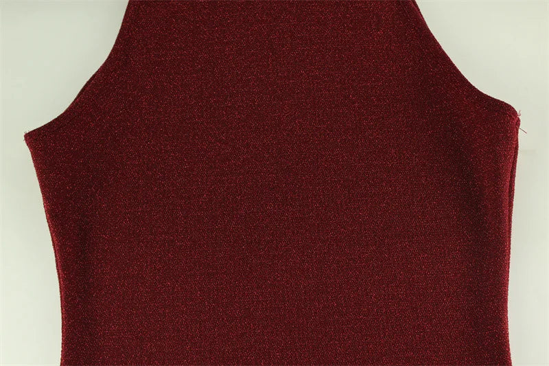 Shimmer Party Dresses Bodycon