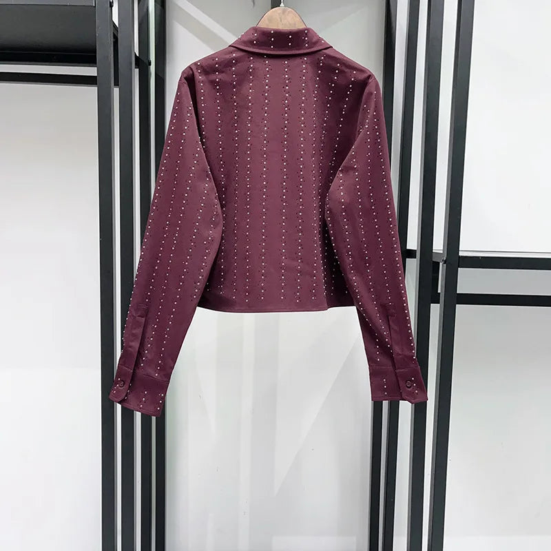 Sandro Maje Burgandy Fully Embellished Skirt Set