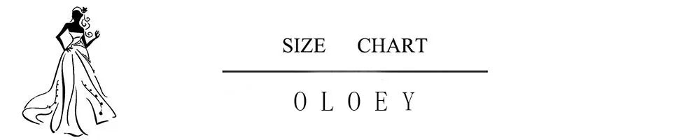 OLOEY Strapless Evening Dresses Asymmetrical Classic Party Dress Maxi Modern Elegant Prom Gowns for Women 2027 Bespoke