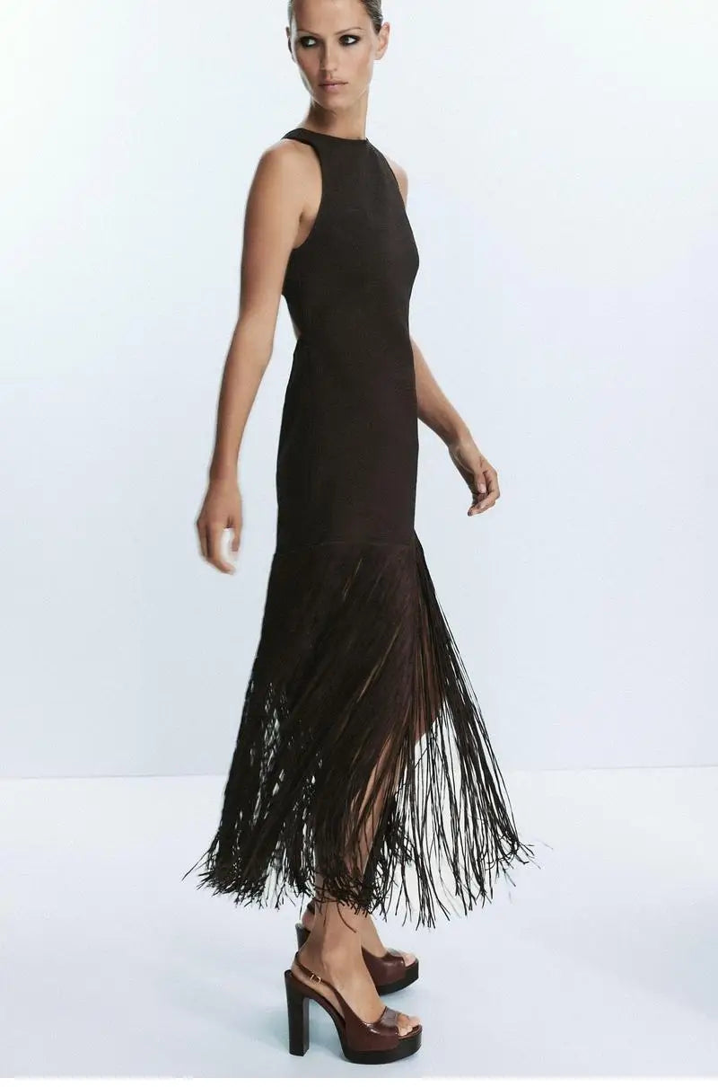 zara TAssel Dress