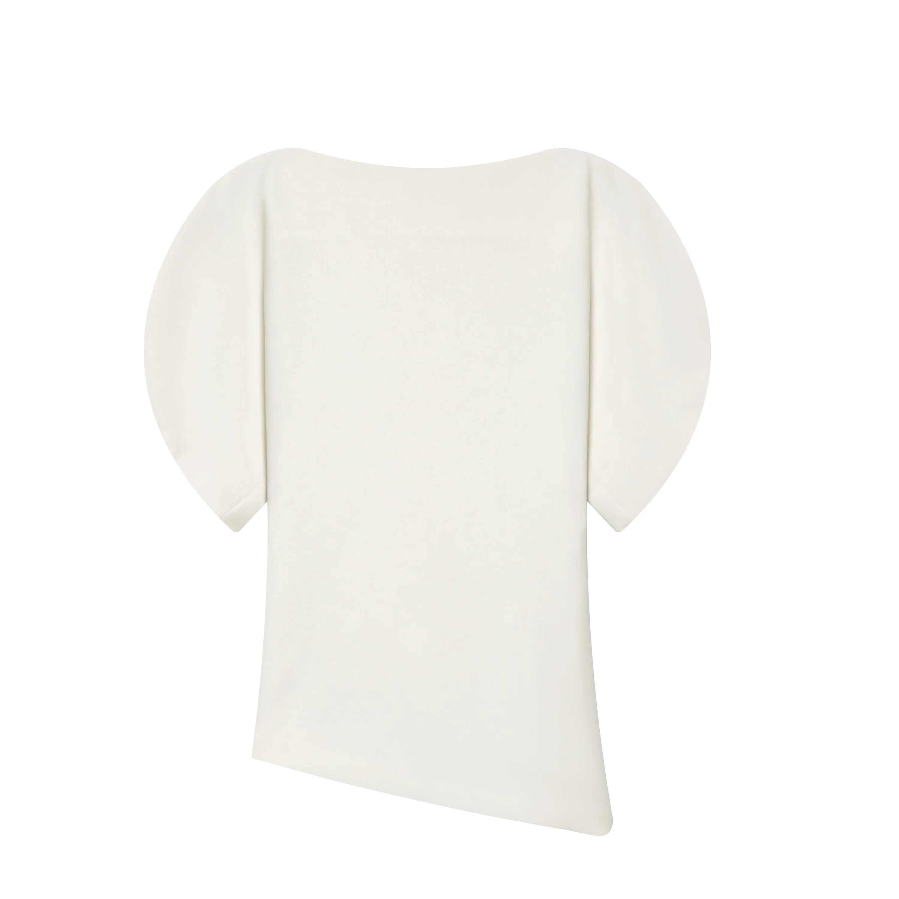 Elegant Puff Sleeve Blouse Asymmetrical