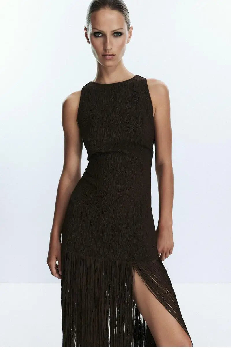 zara TAssel Dress
