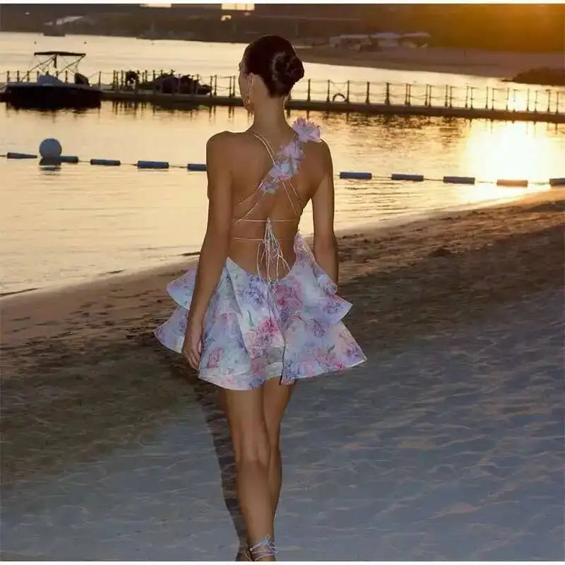 Ruffle lace chiffon layer dress
