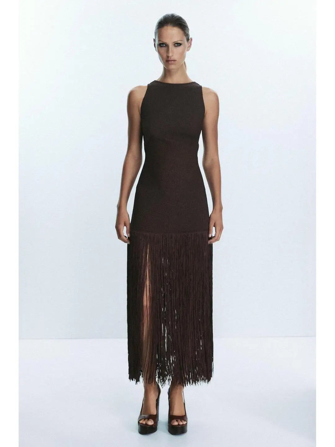zara TAssel Dress
