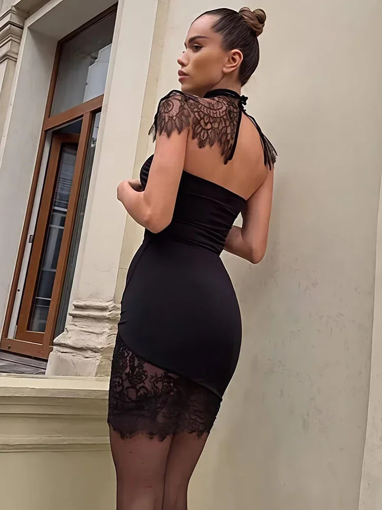 Lace Collar Queen Black Dress - Shellss