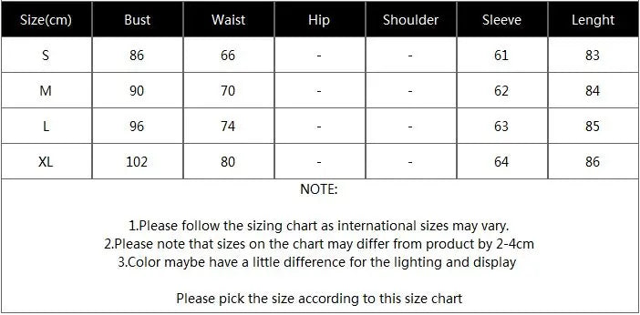 Lace Lantern Sleeves Dress