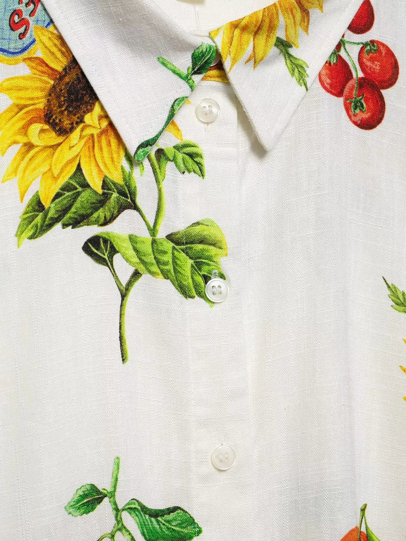 20 25 Summer Causal set